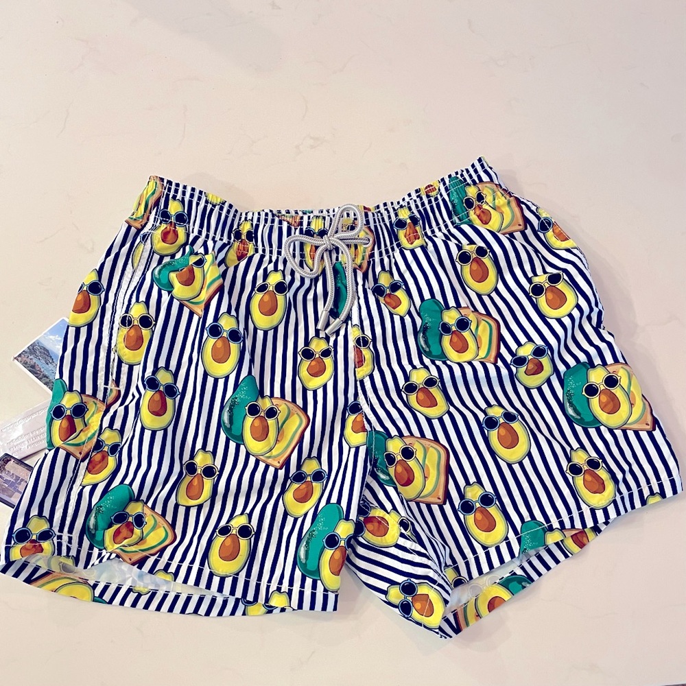 MC2 Saint Barth Mens Avocado Toast Swim Shorts
